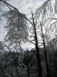 Ice storm in the Shawangunks.