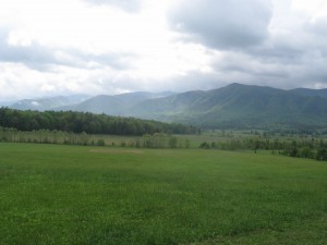 Cades Cove, GSMNP.