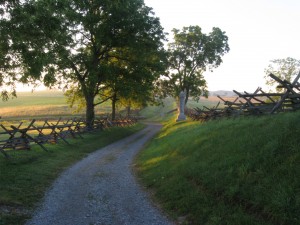 The Bloody Lane, where thousands of bodies glutted the sunken roadbed.