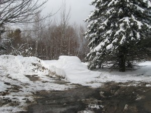 Thank God the snowplow-guys know where I park!