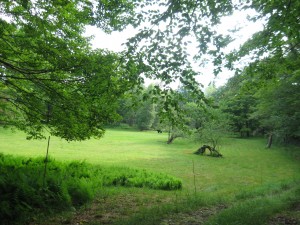 IMG_0034