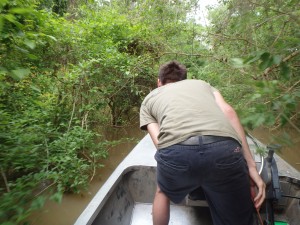 Into the swamp.