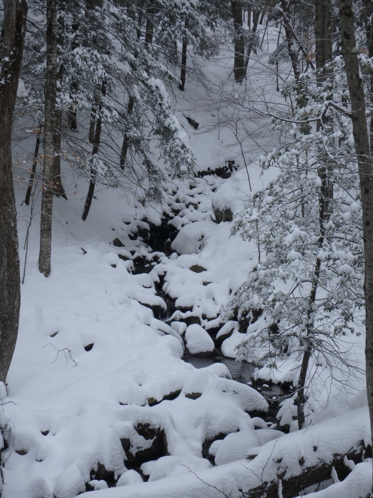 April snow on Wildcat Mountain. 