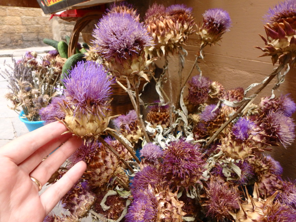 Dried Artichokes