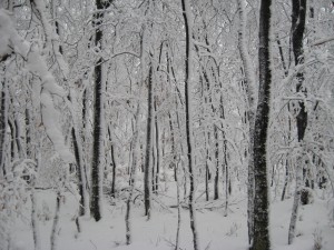 img_05351