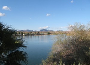 Colorado at Parker The Colorado River.